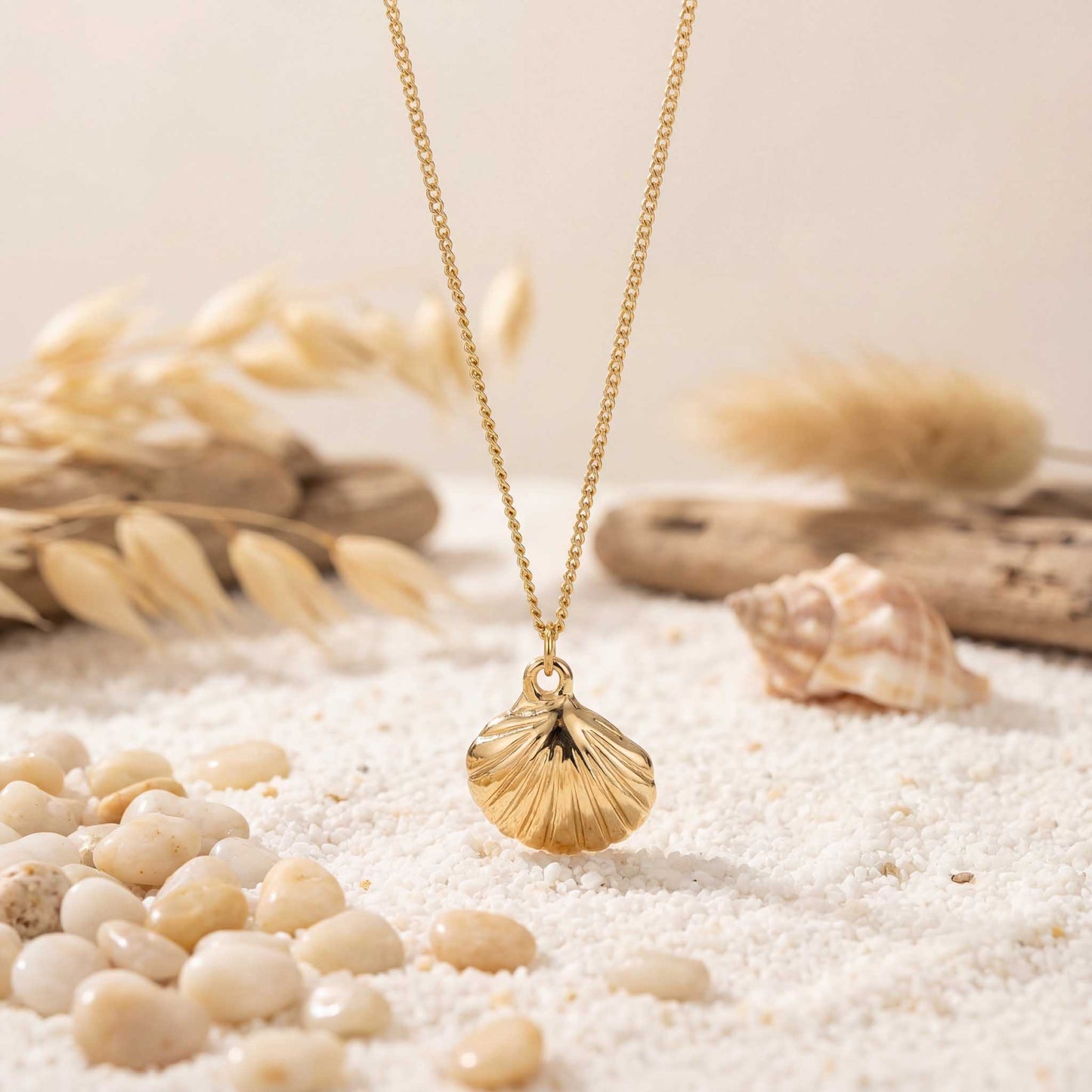 Elegant Sea Shell Pendant Necklace