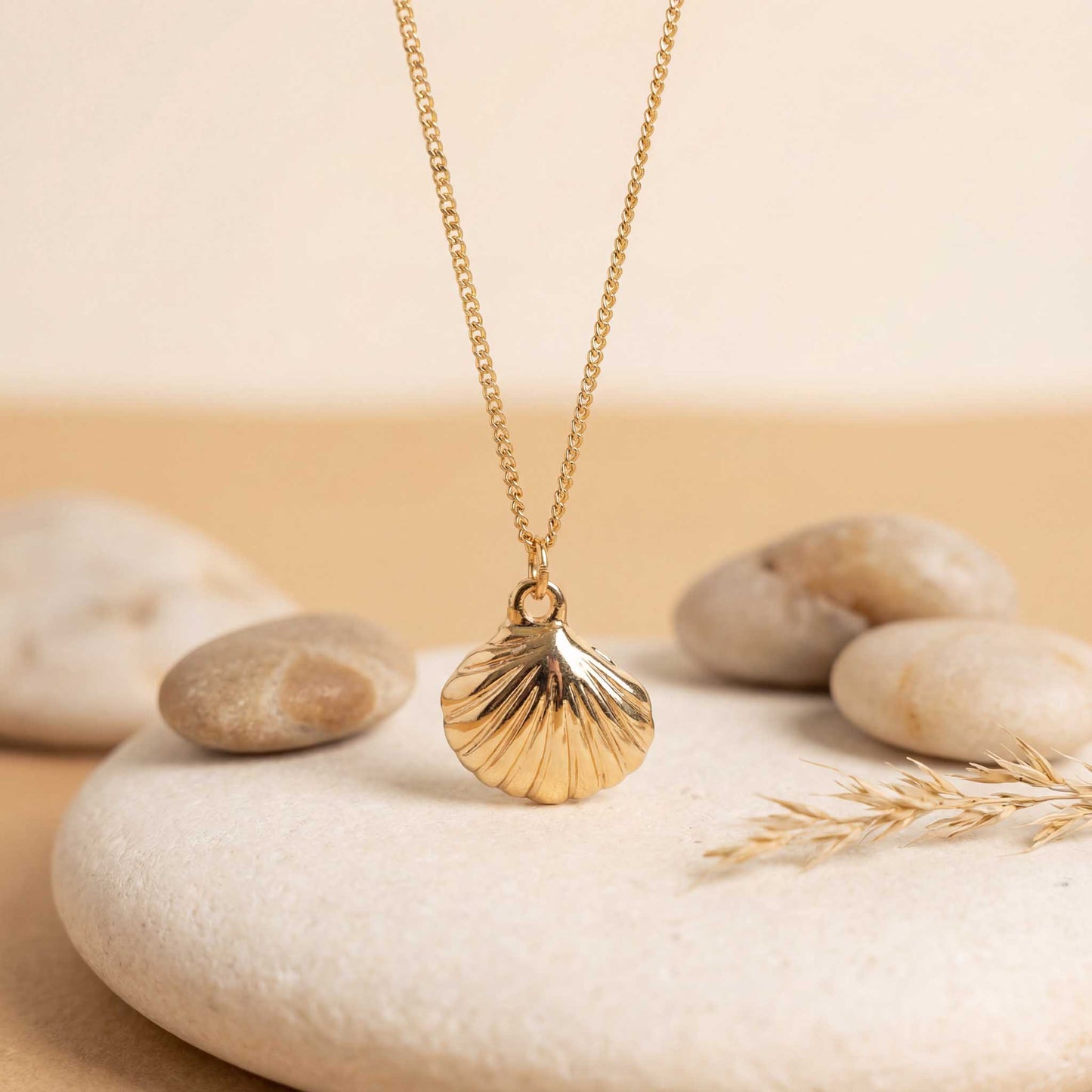 Elegant Sea Shell Pendant Necklace