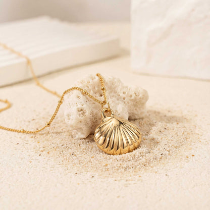 Elegant Sea Shell Pendant Necklace